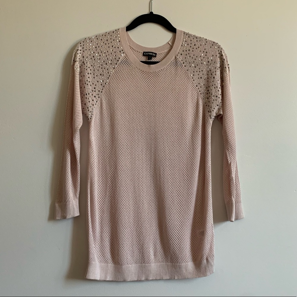Express Pink Sweater